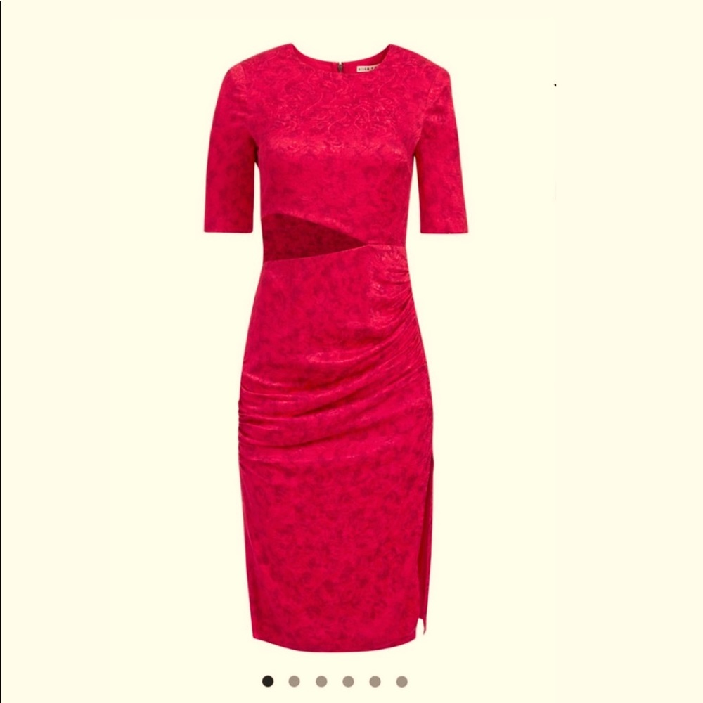 Alice and Olivia dress